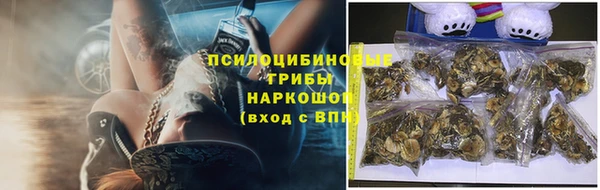 стафф Белоозёрский